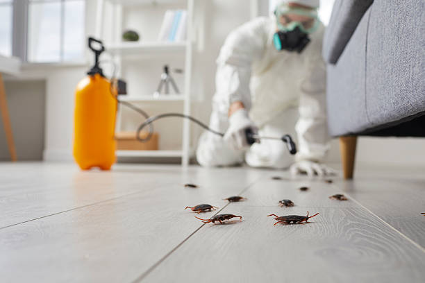 Trusted Cockroach Control service in Smithville, NJ - Nex Pest Control