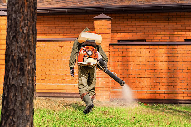 Trusted Ant Control service in Smithville, NJ - Nex Pest Control